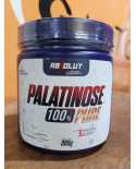 Palatinose 300g – Absolut Nutrition